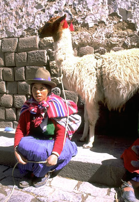 Girl with Llama