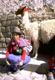 Woman with Llama